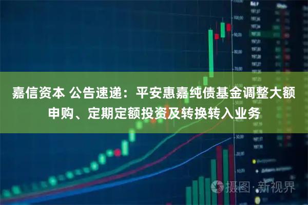 嘉信资本 公告速递：平安惠嘉纯债基金调整大额申购、定期定额投资及转换转入业务